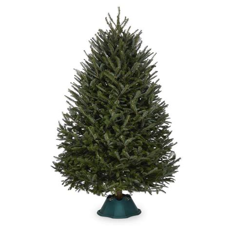 lowes christmas trees|real christmas tree prices lowe's.